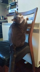 IMG_20180112_080359.jpg